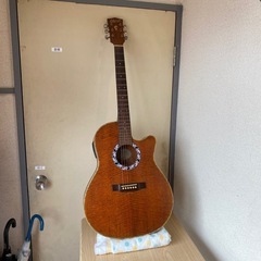 No.786 アコースティックギター　中古　ダラコ