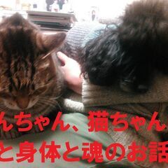 【5/21】わんにゃんお話会