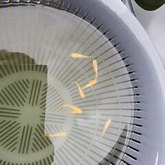 めだか【黄金べっ甲】取引決定の画像