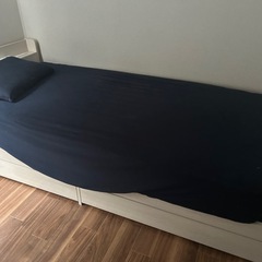 ベット