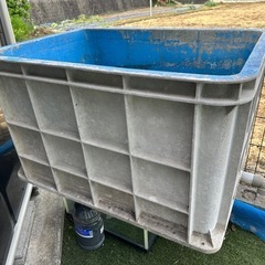 水槽　生簀　金魚　錦鯉　めだか