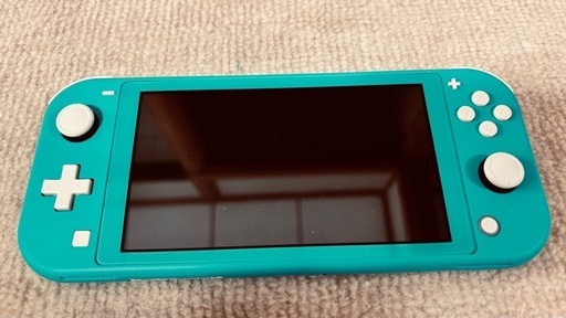 【美品】Nintendo Switch Lite ターコイズ 充電器・専用ケース付き！