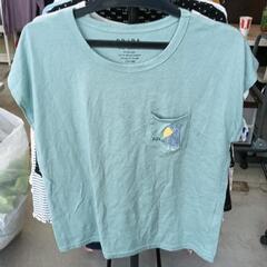 0517-359 レディース洋服