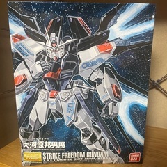 MG ストライクフリーダムガンダム