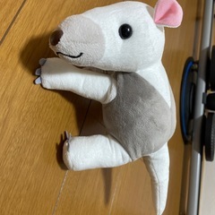腕にくっつくぬいぐるみ