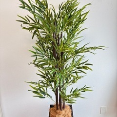 【受渡し者決定】笹　七夕用飾り　観葉植物