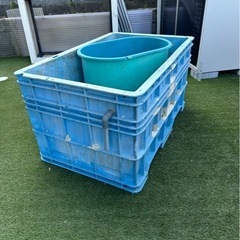 水槽　いけす　金魚　錦鯉　めだか