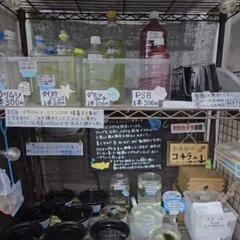 めだか(メダカ)無人販売の画像