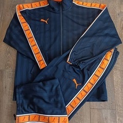 【近畿エリア】プージャを譲って欲しいです