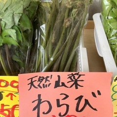 天然山菜❣️わらび・フキ・三つ葉❣️
