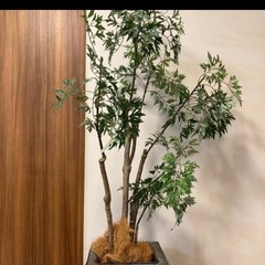 観葉植物（人工）