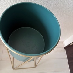 植物　プランターの画像