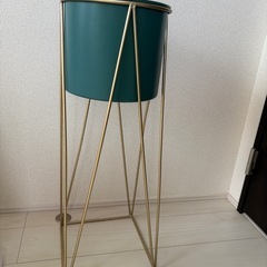 植物　プランター
