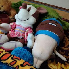 ぬいぐるみの画像