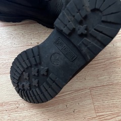 ティンバーランドの画像