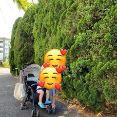 ベビーカーの画像