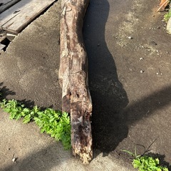 薪材　木材　欅の画像