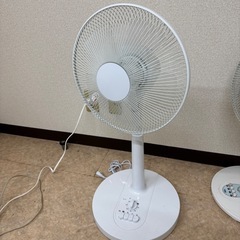 2024年製 家庭用扇風機