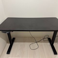 FLEXISPOT スタンディングデスク 電動式 昇降デスク