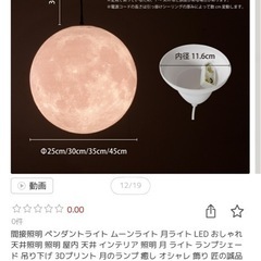 ペンダントライト　特大サイズ