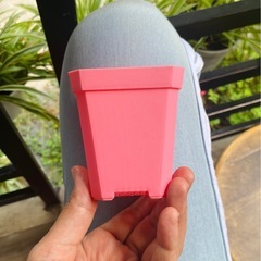 鉢の画像