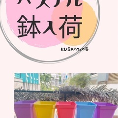 鉢