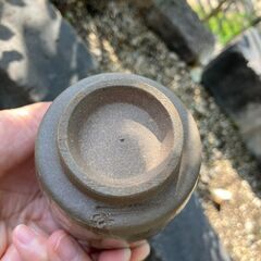 51：湯呑み　文字付　絵付きの画像