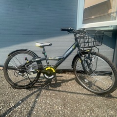 ジュニア自転車 STAMEN