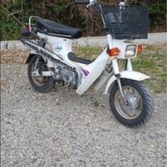 シャリーcf50