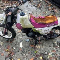 バイク　ヤマハ　pw50の画像