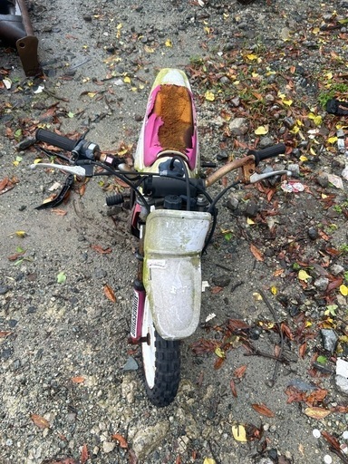バイク　ヤマハ　pw50