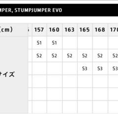 STUMPJUMPER EVO COMP 29 『S2』2021年(直接取引)の画像