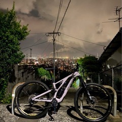 STUMPJUMPER EVO COMP 29 『S2』2021...