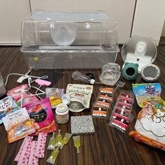 ルーミィ60&サークルハムスターセット