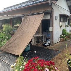 メダカ無人販売