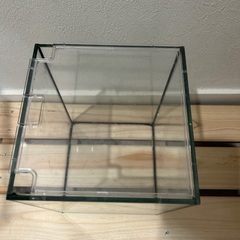 水槽の画像