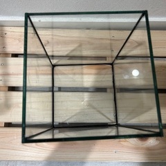 水槽の画像