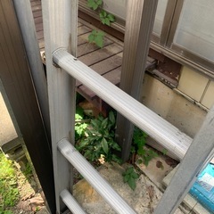 アルインコ　一連はしご　約長さ4mの画像