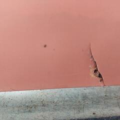 いちご　苗 3つの画像