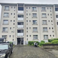 【✨時給5,000円✨】あなたのセンスが仕事に！✂️🪴飾り…