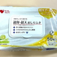 【✨残り45枚以上✨】超厚・超大おしりふき/からだふき/汗拭きシ...
