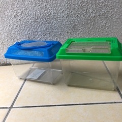 虫かご