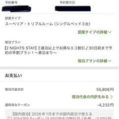 宿泊権9/13〜9/15三名二泊ディズニー旅行に！イビスタスタイルズ東京ベイの画像