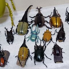 最終値下げ、カブトムシ＆クワガタフィギュア20点セットの画像