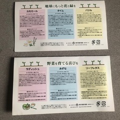 ハーブ、野菜の種子(未開封)の画像