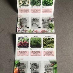 ハーブ、野菜の種子(未開封)の画像