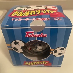 がんばれサッカー①
