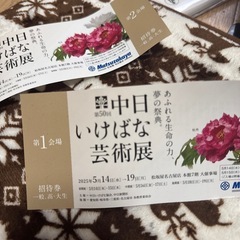 チケットの画像