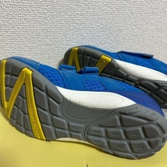 moonstar 20cmの画像