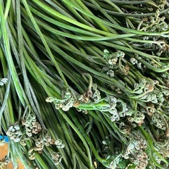 ④  天然わらび　山菜　１ kg 　食品の画像